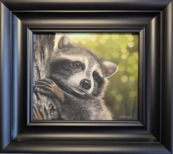 Click to view detail for Enzo 10x12 $950